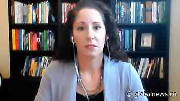 Key finding in Sask. study on domestic violence victims who own pets