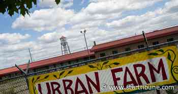 Minneapolis City Council committee resurrects water yard development against activists' wishes