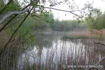 Bomen- en struikenverkoop Natuurpunt (Wachtebeke) - Het Nieuwsblad