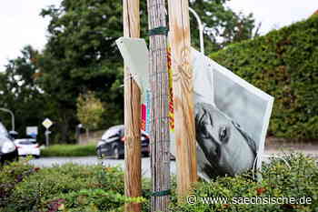 Riesa: Wahlplakate: Wie viele werden im Elbland wirklich zerstört? - Sächsische.de