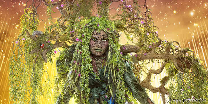 Who is Mother Nature on 'The Masked Singer' Season 6? Spoilers, Clues & Guesses Revealed!