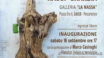 In mostra a Lecco le “storie” dei legni portati dal lago - Diocesi di MIlano