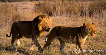 Gallery: Travel photographer Austin Mann shows off stunning iPhone 13 Pro camera results - 9to5Mac