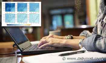 Employees working from home four days a week slashes pollution by 10%, study finds 