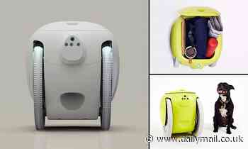 Piaggio's $1,850 suitcase robot Gitamini uses radar and cameras to follow you around like a puppy