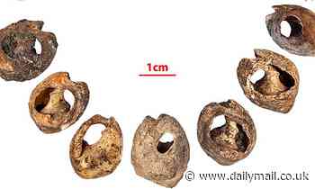 World's earliest JEWELLERY is discovered in Moroccan cave