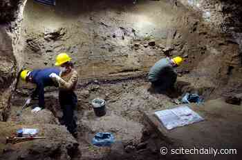 Archaeological Evidence Shows Early Homo sapiens in Europe Faced Subarctic Climates