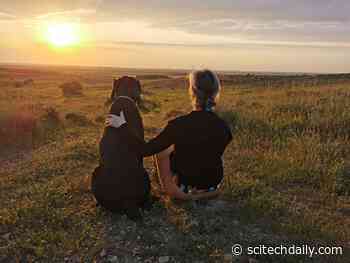 Promoting Wellbeing During COVID-19 Restrictions: Spending Time Outside and Getting Quality Sleep