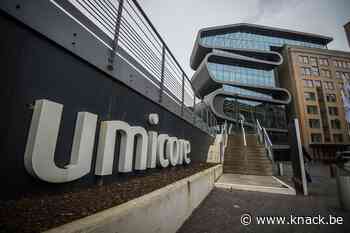 Verontwaardiging in Hoboken: 'Umicore moet ons uitleggen waarom het in beroep gaat' - Knack.be