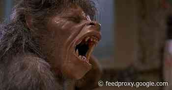 It's time to bring back werewolf movies, you cowards     - CNET