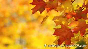 It's the first day of Fall 2021. Here's when you'll likely see the fall colors in Hampton Roads.