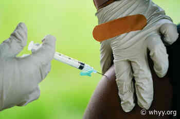 Dr. Paul Offit on COVID vaccines and the history of medical advances - WHYY