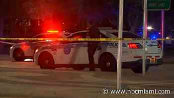 1 Killed, 1 Injured After Shooting at Park in Downtown Miami