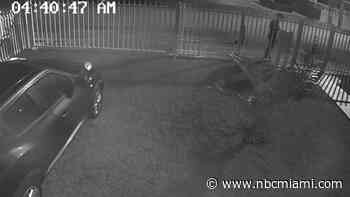 Mailbox Thief Caught on Camera Going Door To Door in Grapeland Heights