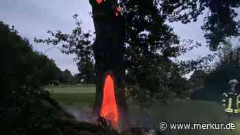 Brennender Baum am Golfplatz in Olching am 20. September. - Merkur Online