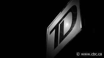 B.C. judge rejects expert in $1.3B lawsuit against TD Asset Management for bias against big banks