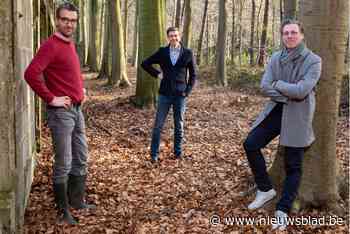 Een stukje bos leasen? Dat kan vanaf 6.000 euro