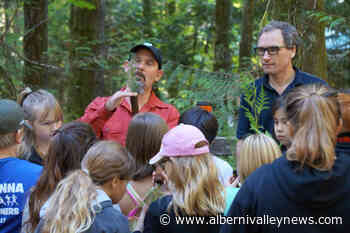 FORESTRY WEEK: Forest renewal, sustainability are 2021’s lessons - Alberni Valley News