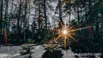 EU forest strategy – EURACTIV.com - EURACTIV