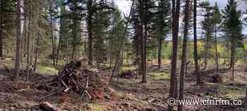 Forest Enhancement Society Fighting Climate Change Through Innovation - CFNR Network