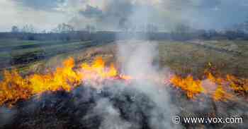 How decades of stopping forest fires made them worse - Vox.com