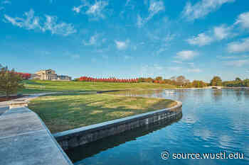 'Requiem of Light' COVID-19 memorial in Forest Park Oct. 2 - Washington University in St. Louis Newsroom