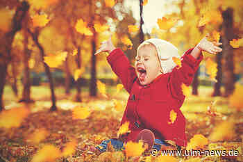 Kalendarischer Herbstanfang: Tag und Nacht gleich lang