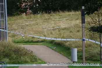 Sabina Nessa: Route through Cator park too dark, says neighbour