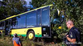 Plate (Landkreis Ludwigslust-Parchim): Fünf Verletzte nach Unfall mit Schulbus - RTL Online