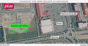 Die ersten Mini-Wälder sollen es in Griesheim richten - Echo Online