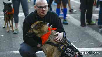 Lawmakers introduce bill to create commemorative coins to honor working dogs