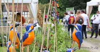 Regionale Köstlichkeiten punkten beim Freilichtgenuss - Lippische Landes-Zeitung