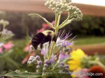 Watch the newest commercials from Wayfair, Walmart, Clover and more