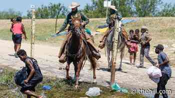 DHS suspends horse patrols but ramps up Haiti repatriation flights