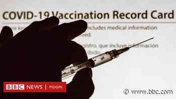 COVID-19 vaccine: Tins you no fit do without Coronavirus vaccination card - BBC News