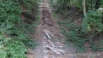 Strecke Sulingen-Nienburg: Leeres Gleisbett ist „ein Ärgernis“ | Sulingen - kreiszeitung.de