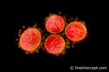 Leaked Grant Proposal Details High-Risk Coronavirus Research - The Intercept