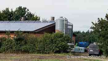 Kadaverfunde in Garrel: Verendete Schweine sind aus Ställen entfernt worden - Nordwest-Zeitung