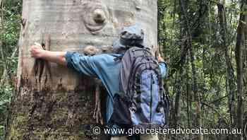 Taking a walk in the glen reserve - Gloucester Advocate