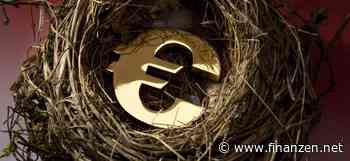 Darum erholt sich der Euro - Türkische Lira fällt auf Rekordtief zum Dollar