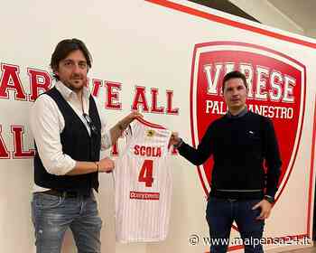 Basket, serie C Gold: Gallarate-Busto è il derby che apre la stagione - malpensa24.it