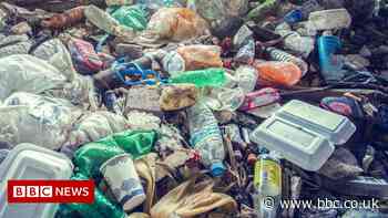 Advertising regulator to clampdown on greenwashing ads