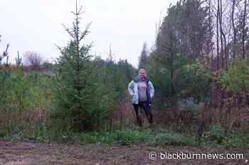 St. Clair Conservation recognizes tree planting efforts on National Tree Day - BlackburnNews.com