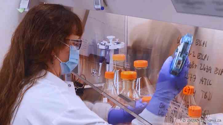 'No margin for error': Albertans look for immediate impact from restrictions as COVID-19 cases climb