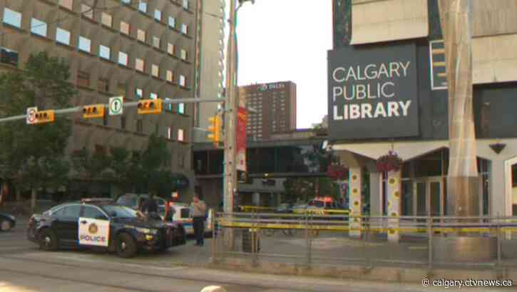 'Swift, brutal and purposeful': Killer in random stabbing on Calgary LRT platform guilty of murder