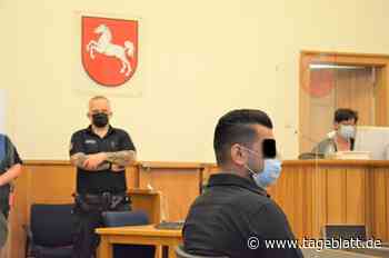 Angeklagter erhält Bewährungsstrafe nach Auto-Attacke - Landkreis Stade - Tageblatt-online