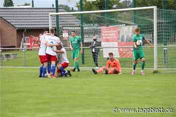 VfL Güldenstern Stade schießt TSV Elstorf ab - Alle Artikel - Tageblatt-online