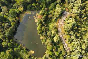 Provincie koopt spookhotel aan Mechels Vrijbroekpark en wil site toegankelijk maken - Gazet van Antwerpen