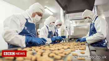 Ministers examining how to fill food sector labour shortages