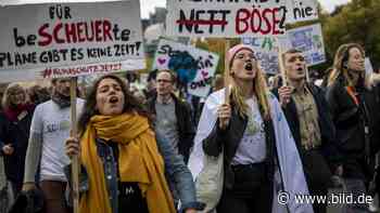 „Fridays for Future“ - Tausende bei Klima-Streik in Leipzig und Dresden erwartet - BILD